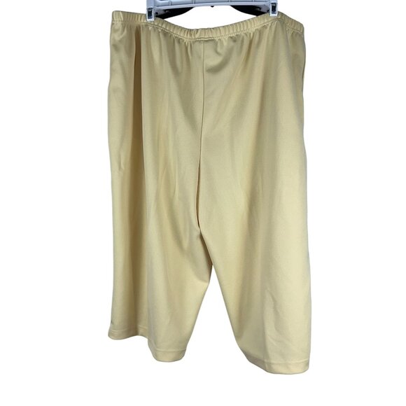 Blair Womens Pull-On Elastic Waist Yellow Lightweight Pants Size 20W Polyester - Picture 4 of 6